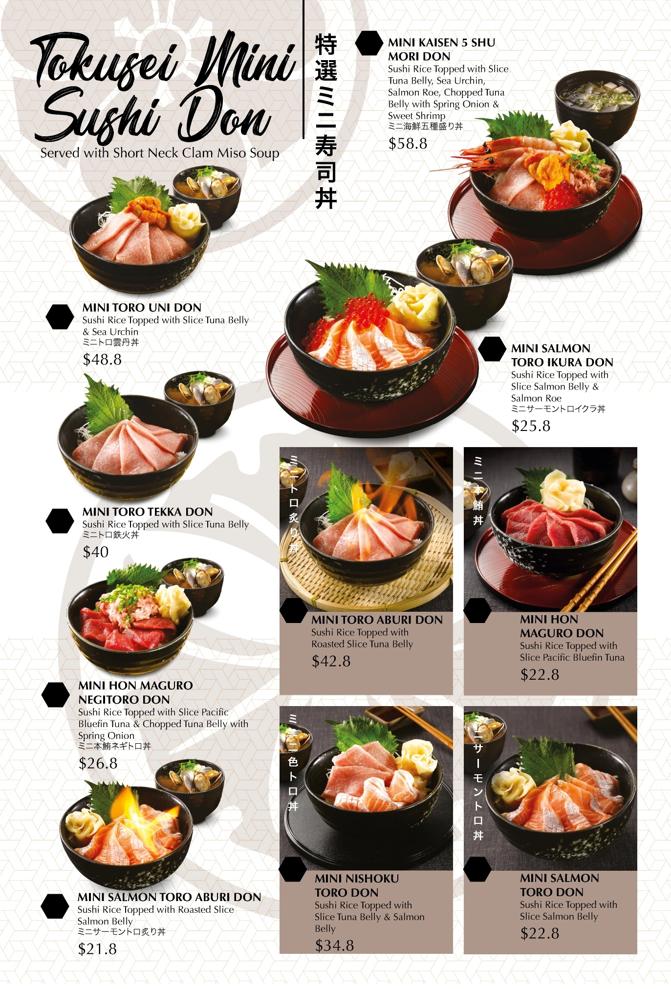 Edo Ichi Japanese Cuisine Restaurant Menu 2024